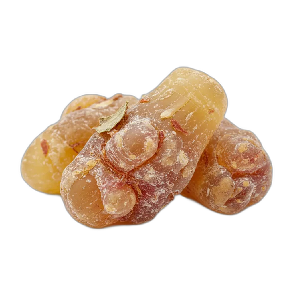Boswellia serrata — φυσική ουσία που μπορεί να συμβάλλει στην ευεξία.